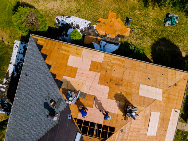 Best Residential Roofing Contractor  in Port Richey, FL