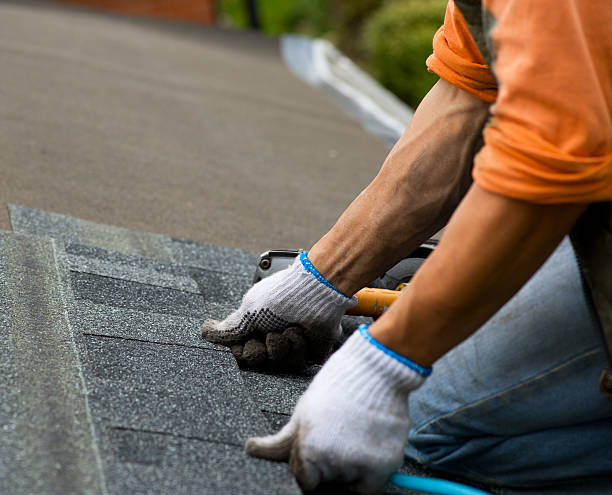 Professional Roofing Contractor in Port Richey, FL