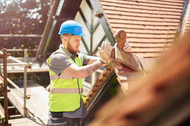 Best Storm Damage Roof Repair  in Port Richey, FL